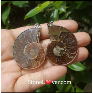 #Ammonite fossil#จี้ฟอสซิลหอย #แอมโมไนต์ 
#หินธรรมชาติ