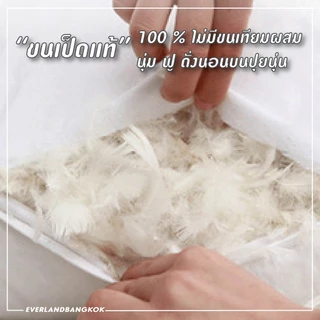 Everland หมอนขนเป็ดแท้ 100% หมอนเพื่อสุขภาพ กันไรฝุ่น มาตรฐาน หมอนโรงแรม 5 ดาว