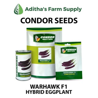 Condor Seeds: Warhawk F1 (Hybrid Eggplant) ขนาด1.5กรัม/ดอกไม้/ดอกทานตะวัน/ดอกทานตะวัน/ดอกไม้/สัตว์ใหญ่/ข้าวโพด/น้ำส้ม/มะ