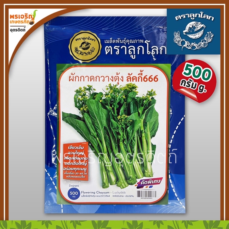 เมล็ดพันธุ์ ผักกาดกวางตุ้ง กวางตุ้งดอก ลัคกี้666 (500 กรัม) เมล็ดคัดพิเศษ ตุ้งดอกฮ่องกง เมล็ดพันธุ์ผักสวนครัว ตราลูกโลก