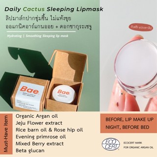 โปรแถมแปรงทาลิป (BAE x MONISTA) Daily cactus sleeping lip mask/ สลีปปิ้งลิปมาส์ก Organic argan oilและกระบองเพชร