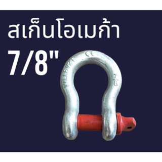 สเก็นโอเมก้า 7/8"=22มิล