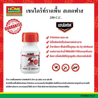 เชนไดร้ท์ราดพื้น สเตดฟาส 250/500/1000 C.C. #โฮมเมก้ามาร์ท