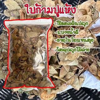 ใบก้ามปู ใบฉำฉา ใบจามจุรี 100% ไม่ผสมดิน ไม่แยกก้านธรรมชาติ 500-1000 กรัม สั่งซื้อ ต่อออเดอร์ไม่เกิน 10 กิโลกรัม