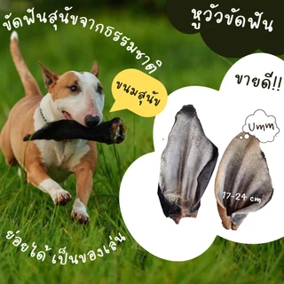 cow ears หูวัวอบแห้ง ขนมขัดฟันสุนัข แทนกระดูก ย่อยยได้ มีหลายไซส์ให้เลือก umm ขนมหมา
