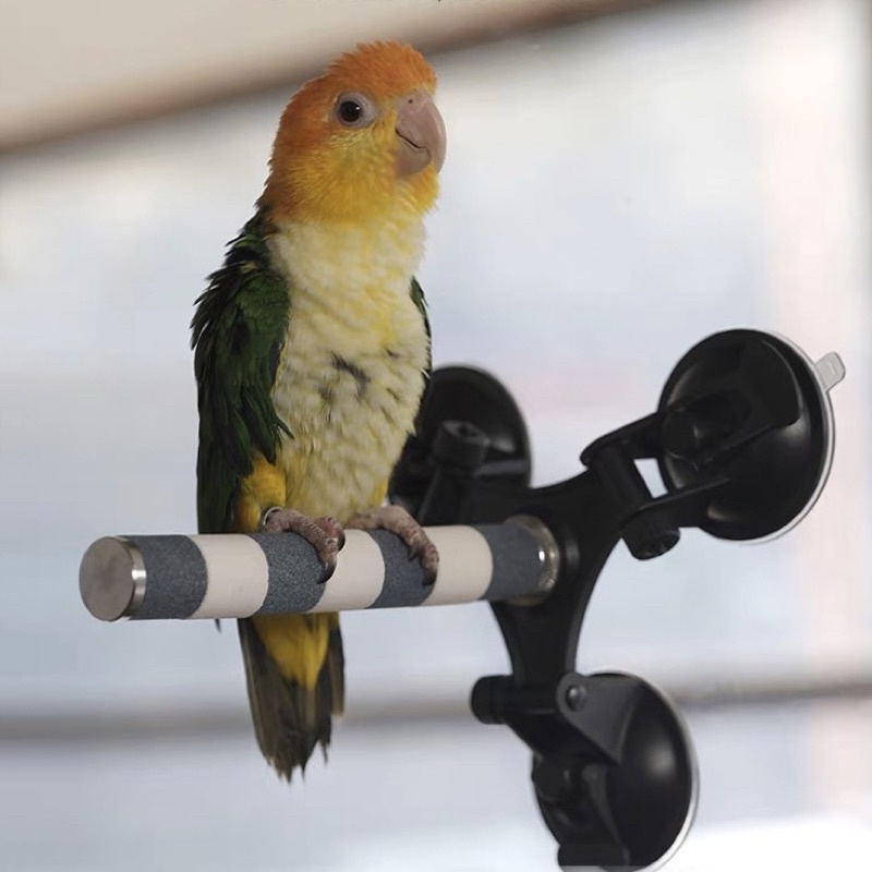 A-0 ตัวดูดสุญญากาศ ใช้กับคอนนก สำหรับติดกระจก 3 หัว แข็งแรง แน่น รับน้ำหนักได้ ใช้ได้กับคอนยืนทุกแบบยกเว้น A-12