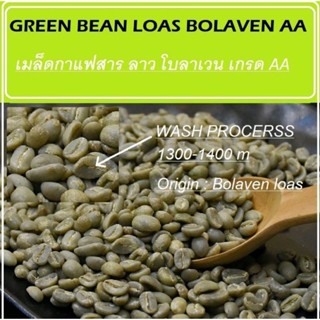 สารกาแฟ ลาว Bolaven 1กิโลกรัม size16 AA