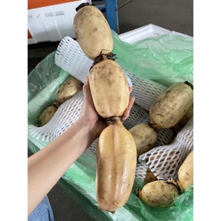 (พร้อมทาน) FillFresh • รากบัว (ยกลัง10kg)｜Lotus Root พร้อมส่ง สดใหม่ เหมาะสำหรับคนรักสุขภาพ