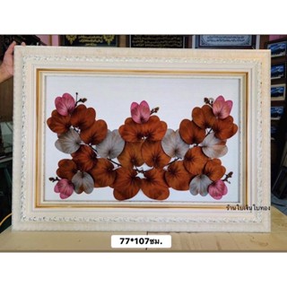 กรอบรูปใบไม้สีทองมหัศจรรย์ทางธรรมชาติ