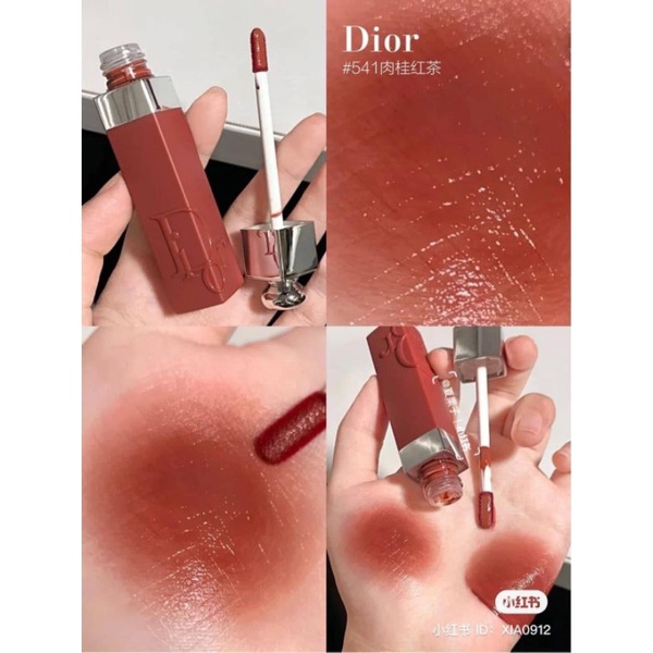 Dior Addict Lip Tint NoTransfer Lip Tint 5ml 541 Natural Sienna