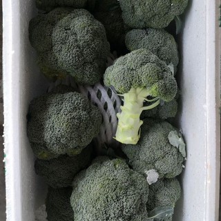 FillFresh • บร็อคโคลี่｜Broccoli พร้อมส่ง สดใหม่ พร้อมทาน