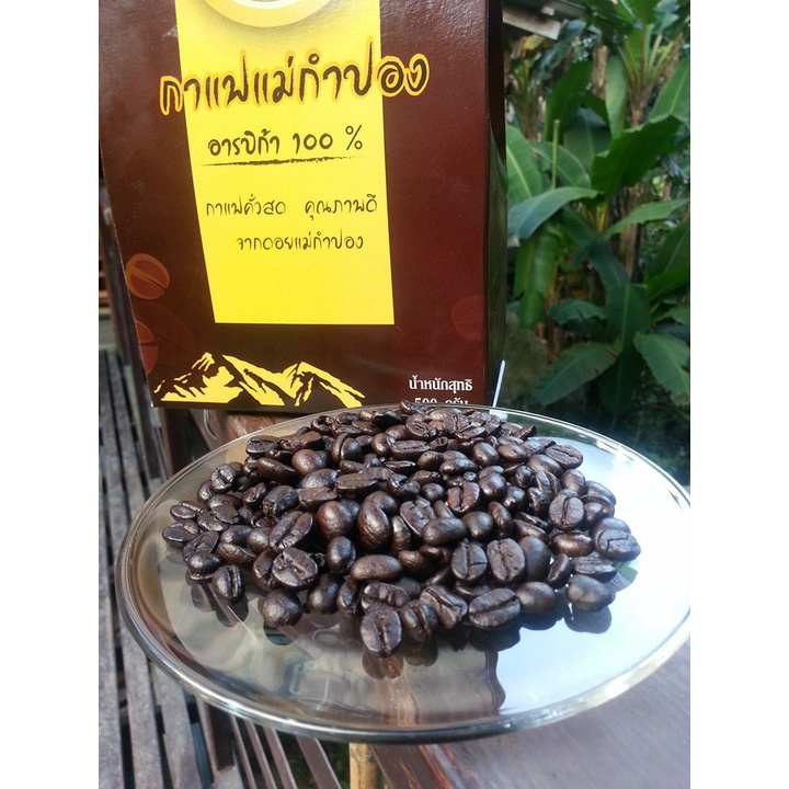💚พร้อมส่ง 💚เมล็ดกาแฟคั่วแม่กำปอง 💚ส่งตรงจากโรงคั่วกาแฟกำปองคอฟฟี่ หมู่บ้านแม่กำปอง จังหวัดเชียงใหม่💚