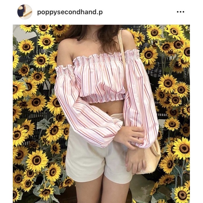 ปาดไหล่ป้าย cookies bear