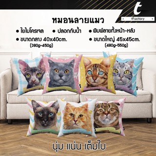 หมอนอิง น้องแมว tFactory ทาสแมว หมอนน้องแมว ลาย  2 ด้าน สกรีนเต็มใบSize 45x45 cm. ใยไมโครเจล เกรดAAA ลายพรีเมียม