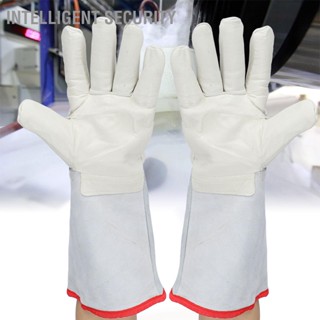 ถุงมือไนโตรเจน Lng ยาว 40 ซม. รักษาความปลอดภัย