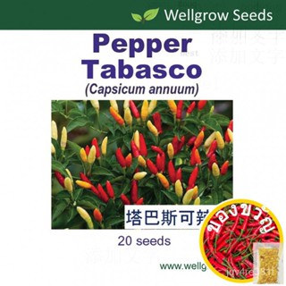 Pepper tabasco (20sds) Gri Chili seeds vegetable seeds wellgrow seeds ​​กระโปรง/ โปโล/แม่และเด็ก/seeds/ขึ้นฉ่าย/ กอบกู้