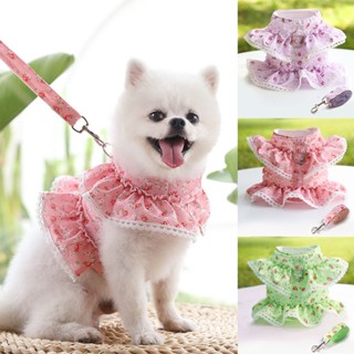 Pet Dog Leash and Harness Set โซ่สุนัขสำหรับแมวและสุนัขขนาดเล็ก Out Walk Vest Pet Supplies