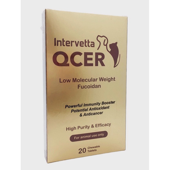 QCER อาหารเสริม สุนัข-แมว มะเร็ง เนื้องอก [ EXP.03/2026 ]