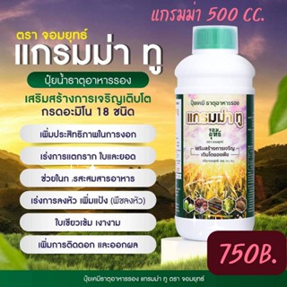 ปุ๋ยแกรมม่าทู 500cc ปุ๋ยน้ำ สูตรเร่งการเจริญเติบโต กรดอะมิโนปุ๋ยเคมี