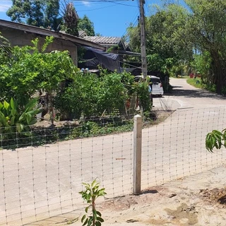 ส่งฟรี❗ช่องตา4'x4' รั้วถักปม รั้วตาข่ายแรงดึง ยาว30m/50m ลวดตาข่ายถักปม ลวดเหล็กล้อมรั้ว ลวดล้อมไร่สวน ลวดล้อมคอกส