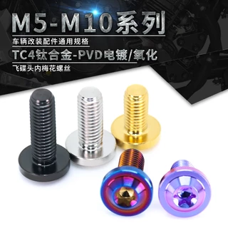 TC4 ไทเทเนียม Flying Saucer หัวสกรู Torx สกรูหัวแผ่น M5 ไทเทเนียม 64 สกรูไทเทเนียม โลหะผสมไททาเนียม M5 M6 M8 M10