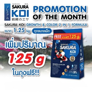 💥ซากุระโค่ย สูตร​เร่ง​โต​&amp;สี ถุง​ 1.25kg.แถมฟรี 125g. ในถุง (ตัวแถม 125g.มีเฉพาะ เม็ด  L) 💥อาหาร​ใหม่..