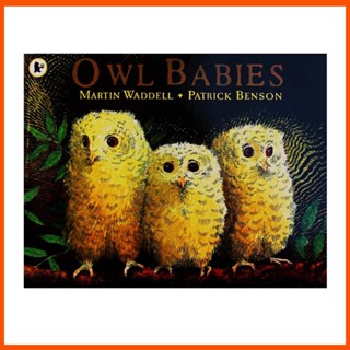 หนังสือนิทานภาพภาษาอังกฤษ นกฮูก Babies By Martin Waddell เสริมการศึกษา สําหรับเด็ก