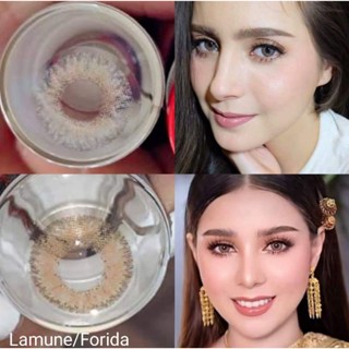 คอนแทคเลนส์ รุ่น Mini Lamune/Florida สีเทา/ตาล Gray/Brown มีค่าสายตา (0.00)-(-8.00)