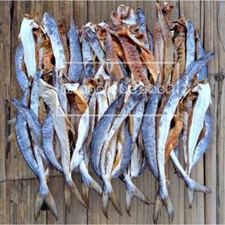 ငါးကွန်းရှပ် ปลาแห้ง ปลาสละขาว ปลาสละ ปลาพม่า ปลา ปลาทะเล ปลาแดดเดียว อาหารพม่า พม่า