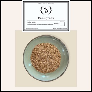 Fenugreek 100g ลูกซัด (Trigonella Foenum-Graecum)