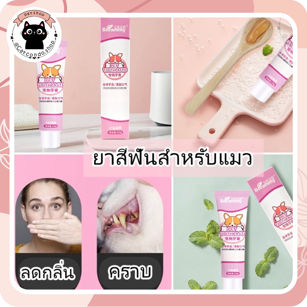 แปรงสีฟันสัตว์เลี้ยง 360องศา หัวแปรง ขนนุ่ม อ่อนโยนต่อเหงือกและฟัน แปรงสีฟันหมาและแมว ราคา ถูกที่สุด ดีลบีเคเค แกลเลอรีภาพที่ 3