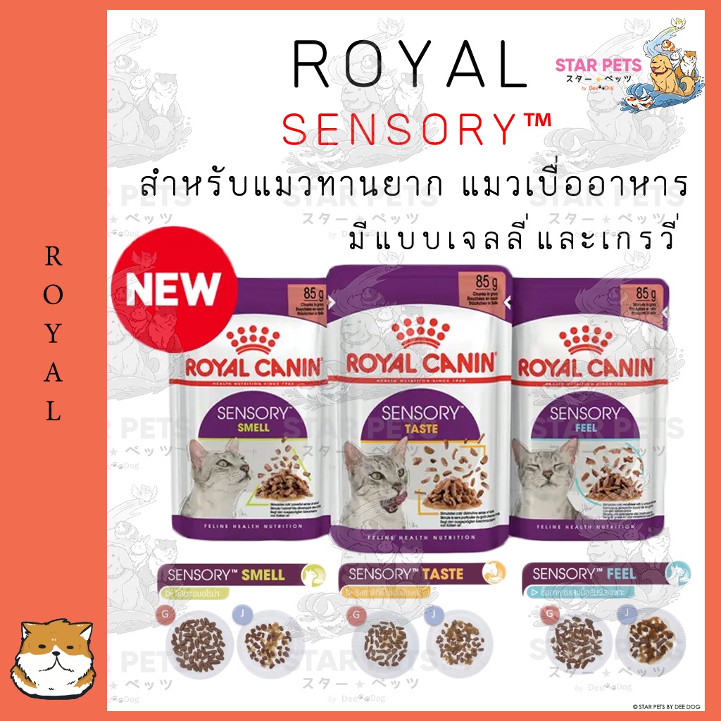 Royal Canin Sensory Taste / Feel / Smell อาหารเปียกแมวกระตุ้นการกิน มีทั้งแบบเจลลี่และเกรวี 85g