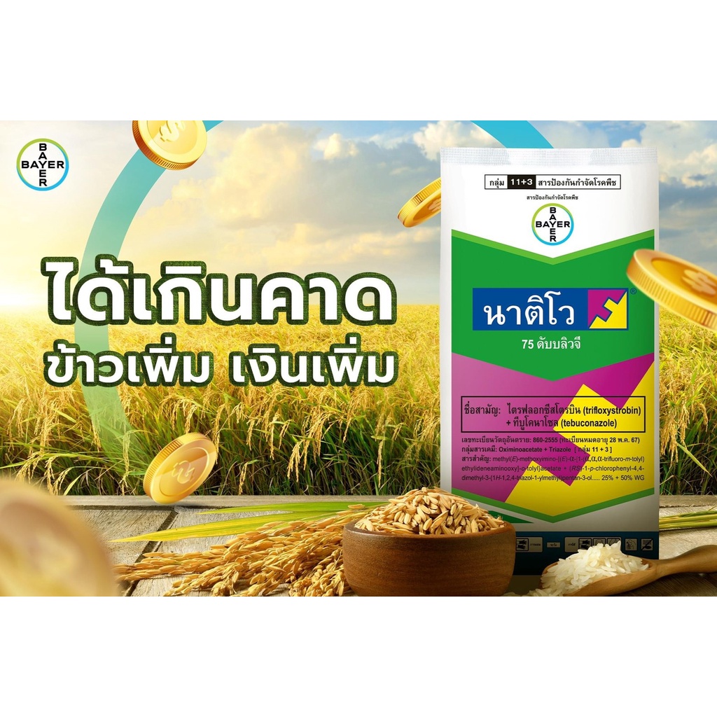 นาติโว 250 กรัม Bayer สารทีบูโคนาโซล + ไตรฟลอกซีสโตรบิน 50% + 25% WG (Tebuconazole + Trifloxystrobin