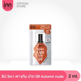 INN BEAUTY EXPERT LIP EYES CHEEKS 09 Autumn Nude