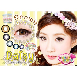 PitchyLens Daisy Eff.19 Brown ใหญ่