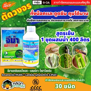 🥬 ชุดตัดวงจร จีม่า+แลมป์ดา ไก่เกษตร (อีมาเมกติน+แลมป์ดา-ไซฮาโลทริน) ทั้งน๊อคและดูดซึม คุมได้นาน