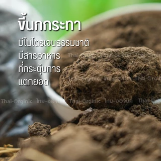 ขี้นกกระทา(1 กก.) ปุ๋ยมูลนกกระทา บำรุงใบ ไนโตรเจนสูง มูลนกกระทา ขี้นกกระทาล้วน ขี้นกแท้ 100%