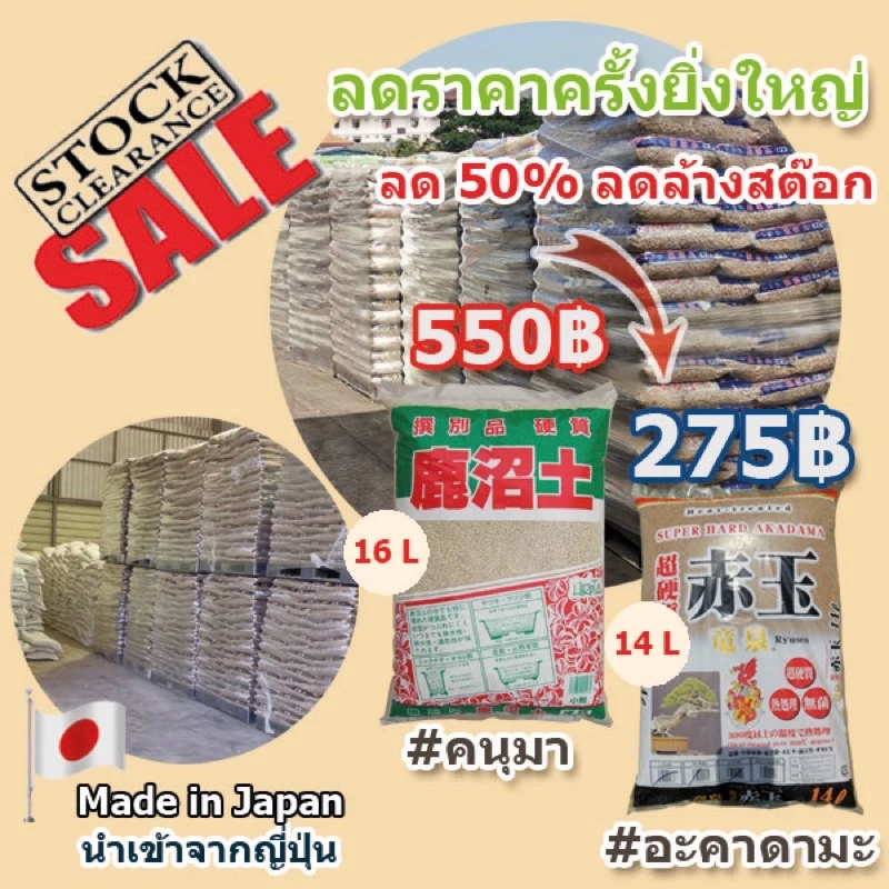 🏜️ ดินญี่ปุ่น อะคาดามะ Akadama / คานูมะ Kanuma สินค้านำเข้าจากประเทศญี่ปุ่น ยี่ห้อ Ryusen