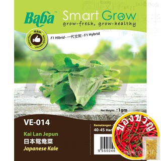 Baba VE-014 Japanese Kai Lan seed/vegeta/smart Grow เมล็ดผักผักคะน้าญี่ปุ่น เด็ก/seeds/หมวก/เสื้อ/บ ALUU