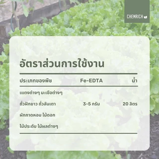 100G/500G Fe-EDTA เหล็กคีเลต อีดีทีเอ13.2% ผงจุลธาตุเหล็ก (เหล็กเหลือง) / Fe-EDTA micronutrient fertilizer - Chemrich