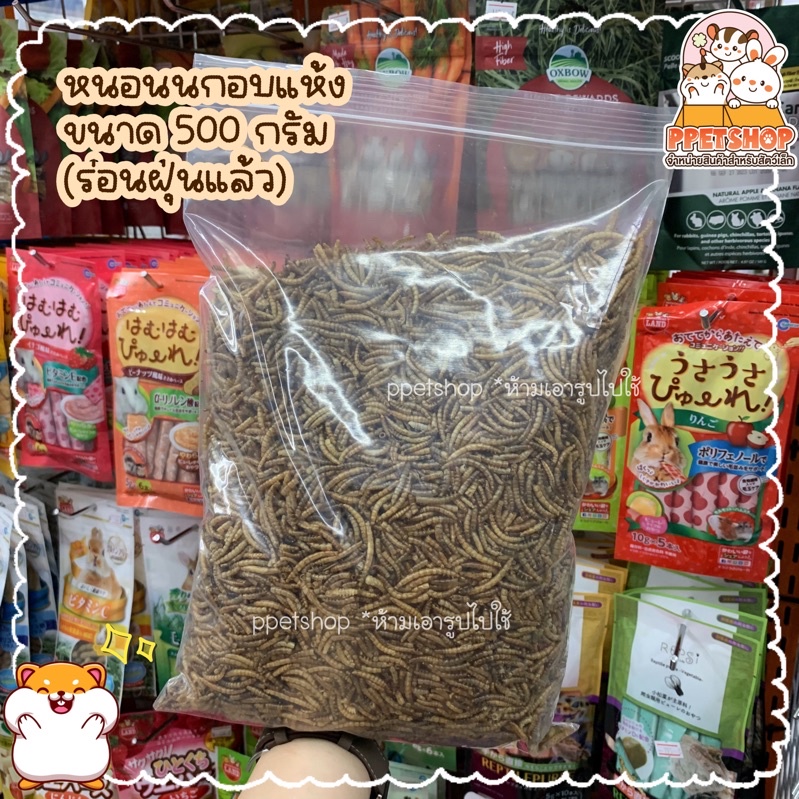ของใหม่💖 หนอนนกอบแห้ง หนอนนกสำหรับเม่น ชูการ์ หนูแฮมสเตอร์ ร่อนฝุ่นแล้ว [ขนาด 500กรัม]
