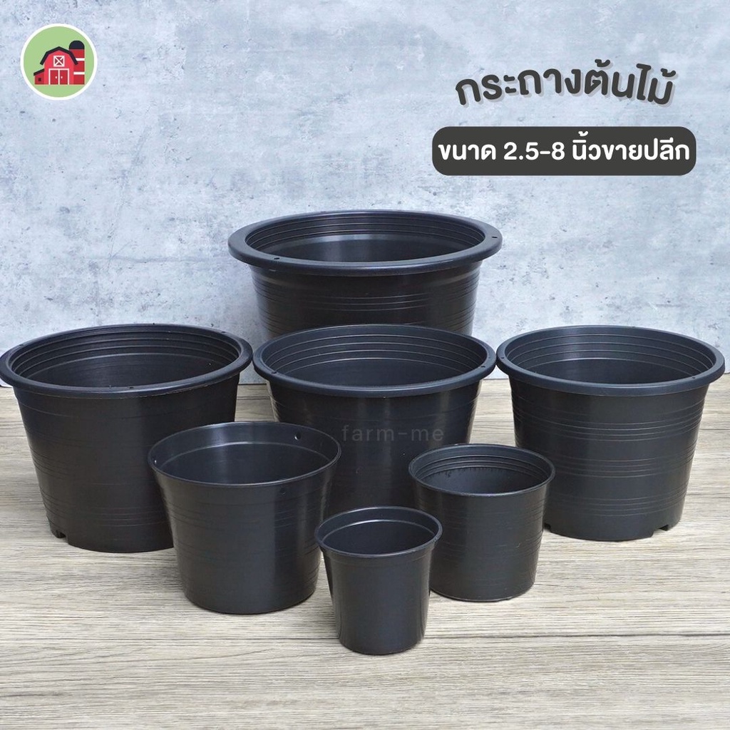 กระถางดำ เบอร์ 2.5"-10" ราคาปลีก กระถางต้นไม้