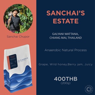 เมล็ดกาแฟ Sanchais estate (Dry process) กัลยาณิวัฒนา, เชียงใหม่ 200 กรัม (คั่วอ่อน)