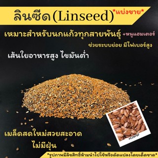 ลินซีด Linseed แบ่งขาย* ธัญพืชสำหรับนกแก้วทุกชนิด+หนูแฮมสเตอร์ใยอาหารสูง ไขมันต้ำ มีขนาด 250g.และ 500g.