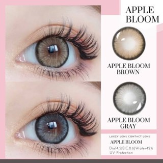 ✨สายตาปกติและสายตาสั้น✨ Apple bloom คอนแทคเลนส์สัญชาติ🇰🇷ขนาดตาโต Bigeye เลนส์กรองเเสง