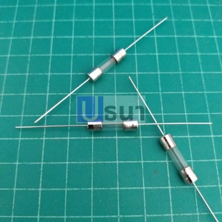 ฟิวส์ 2 ขา บัดกรี หางหนู หลอดแก้ว 5x20mm 250V T1A ถึง T20A #PG5x20T (1 ตัว)