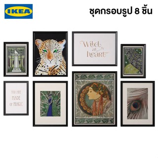 IKEA พร้อมส่ง เซ็ตภาพโปสเตอร์ใส่กรอบ 8 ชิ้น KNOPPÄNG คนอปเป็ง อิสระที่ไร้กรอบ