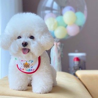 Happy PETs ผ้ากันผูกคอ Happy  Birthday ขอบแดง แต่งรูปหมี น่ารัก งานปัก เครื่องประดับสัตว์เลี้ยง วันเกิดสัตว์เลี้ยง