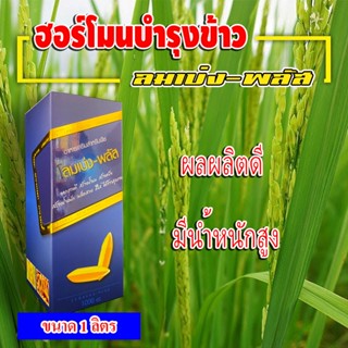 ลมเบ่งพลัส 🌾 ฮอร์โมนบำรุงข้าว ( 1 ลิตร ) สูตรบำรุงข้าวท้อง ข้าวออกโดยเฉพาะ เร่งแป้ง เร่งน้ำนม เมล็ดสวย เมล็ดใส น้ำหนักดี