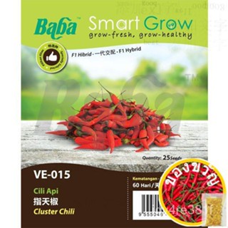 Baba VE-015 Smart Grow vegetable SEED Cluster chilli (เปลวไฟพริก)ขึ้นฉ่าย/เมล็ดพืช/seeds/ 2YEL